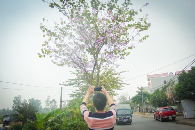 anh: dan lang ngo ngang vi ve dep cua 