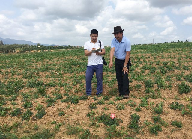 quang binh: nam “nha” ban cach phat trien nong nghiep cnc hinh anh 2