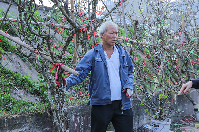 anh: hoa le rung tay bac tien trieu hut nguoi choi sau tet hinh anh 3