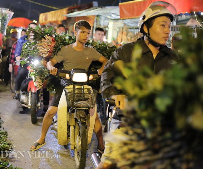 hinh anh nao nhiet tai cho hoa lon nhat ha noi truoc ngay 8.3 hinh anh 4