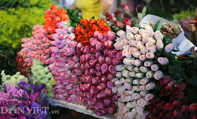 hinh anh nao nhiet tai cho hoa lon nhat ha noi truoc ngay 8.3 hinh anh 5