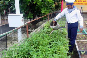 Ảnh minh họa. (Nguồn: TTXVN)