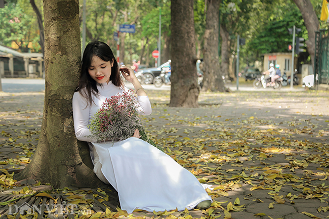 anh: mua la sau nhuom vang tren con duong lang man nhat ha noi hinh anh 7