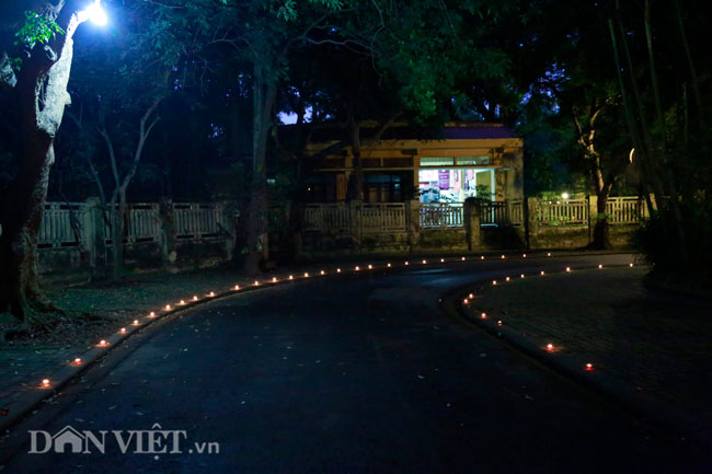 nhieu ban tre thap nen tri an tai nha dai tuong vo nguyen giap hinh anh 9