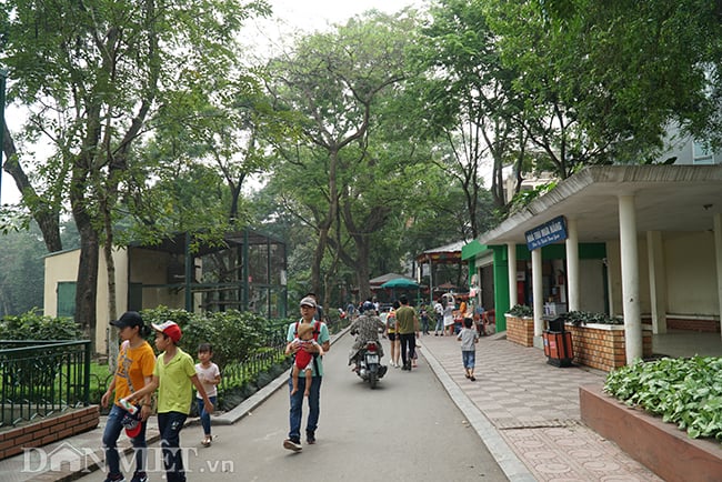 anh: ha noi chu truong lam bai do xe ngam trong cong vien thu le hinh anh 12
