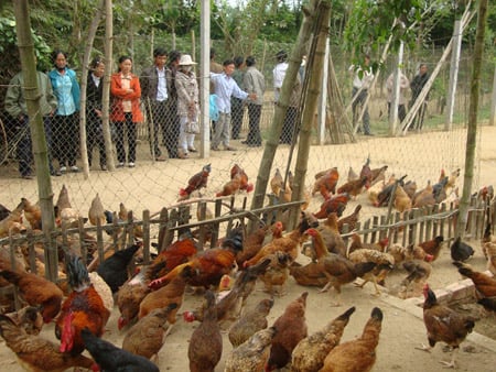 Lao động nông thôn được đào tạo dạy nghề với  phương châm “cầm tay chỉ việc thực hành tại chỗ”.