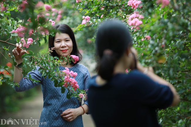 anh: khu vuon 100 goc hoa tuong vi dep lung linh o ha noi hinh anh 3
