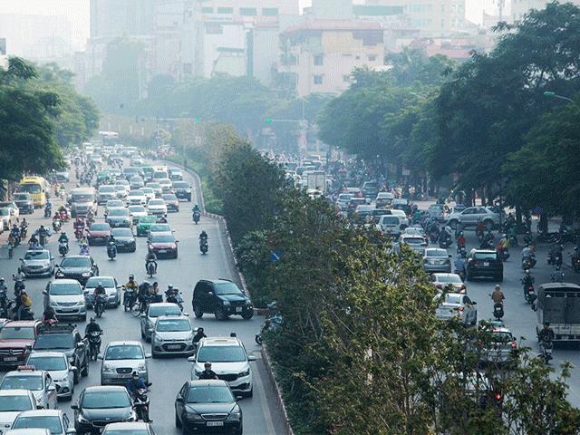 Hàng phong lá đỏ chưa kịp đỏ đã héo khô giữa trời thu Hà Nội