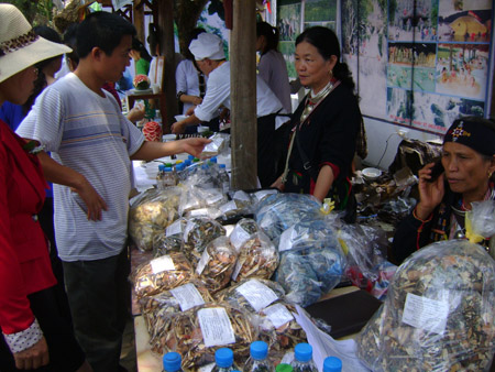 Bà Triệu Thị Hòa (phải) -  giới thiệu và tư vấn cho khách hàng mua thuốc. 