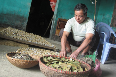 Ông Lăng Văn Nam kiểm tra lại những viên men rượu  trước khi giao hàng cho khách.