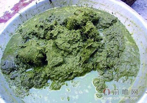 1434416008-bexr1419091540-lau-phan-bo-5.jpg