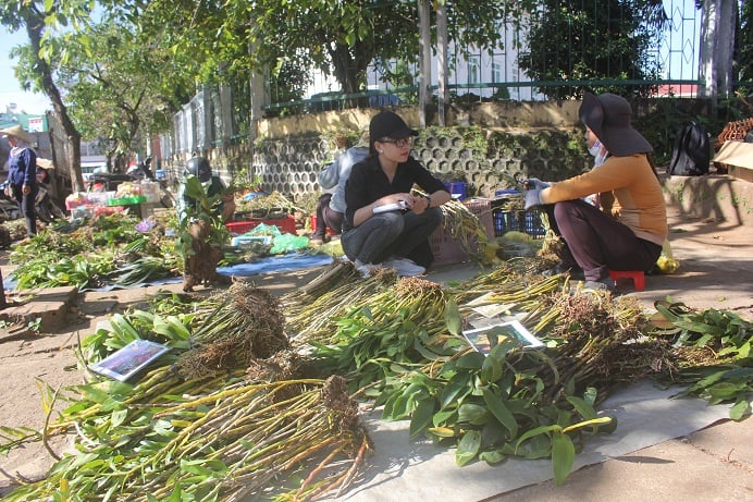 Đa dạng các loại lan được bày bán tràn lan trên đường Hai Bà Trưng, TP.Pleiku, Gia Lai