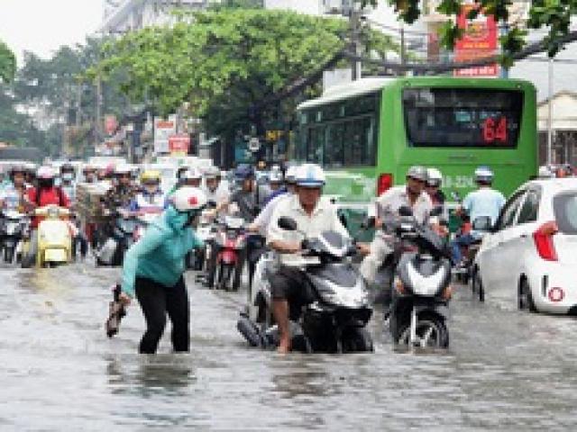 Giám đốc Trung tâm Chống ngập TP HCM ”giấu” 1 căn nhà và 1 căn hộ