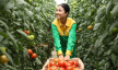 Phóng sự ảnh: Một ngày làm việc ngập tràn hạnh phúc ở Nông trường rau sạch WinEco