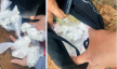 Bắt giam cặp vợ chồng mua bán heroin