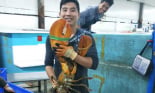 Chi cả chục triệu đồng mua tôm 'khổng lồ' về ăn mà chợ vẫn cháy hàng