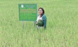 TGĐ Bùi Thị Hạnh Hiếu: “Trước sau, chúng tôi đồng hành, chung thủy với người tiêu dùng, nông dân”