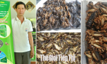 Những đặc sản Ocop độc đáo chỉ có ở Tây Ninh