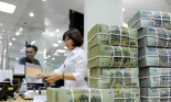 Bất chấp dịch bệnh, thu ngân sách về đích trước 1 tháng