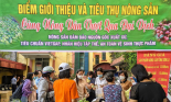 15 tấn nông sản Sơn La được Hải Phòng hỗ trợ tiêu thụ không lợi nhuận