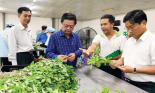 Bộ trưởng Lê Minh Hoan ấn tượng với Nông trường WinEco Củ Chi 