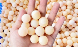 Loại trứng đẹp như ngọc, tưởng không ăn được mà ‘cháy’ hàng quanh năm