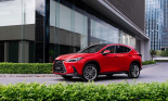 Triệu hồi loạt xe sang Lexus NX350 tại Việt Nam dính lỗi nguy hiểm