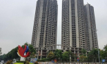 Vũng Tàu ra 'tối hậu thư' vụ chung cư 43 triệu USD làm xấu mặt thành phố