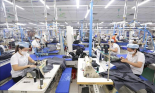 Bắt kịp xu hướng để gia tăng xuất khẩu vào EU