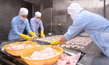 VASEP: Chi nhánh các NHTM ở địa phương đã cắt giảm mạnh tín dụng với các doanh nghiệp thủy sản