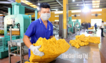 Bí quyết giúp Tập đoàn cao su vượt khó, đạt doanh thu hàng ngàn tỷ đồng