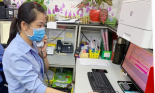Vẫn còn thất thu lớn từ thuế thương mại điện tử
