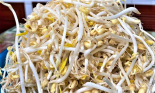 Giá đỗ tự làm