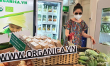 Thực phẩm organic được ưa chuộng, siêu thị ồ ạt khuyến mãi thực phẩm hỗ trợ sức khỏe