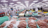 Anh hạn chế thủy sản Nga, doanh nghiệp Việt có cơ hội gia tăng thị phần