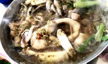 Món ngon từ mắm
