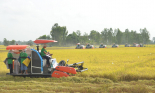 Lợi nhuận quý 1 đạt 184 tỷ đồng, Lộc Trời “bật mí” về bảo hiểm nông nghiệp đầu tiên tại Việt Nam