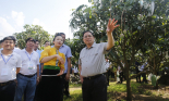 Thủ tướng Phạm Minh Chính: Sơn La thực hiện đồng bộ 5 giải pháp để đưa nông sản cất cánh