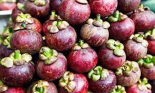 Giá măng cụt, vải thiều, chôm chôm giảm mạnh