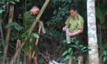 Kiểm Lâm Sơn La: Vì một môi trường làm việc không khói thuốc