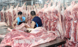 Không phải ai cũng vui vì giá heo hơi tăng