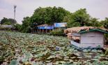 Hồ Tây thiếu không gian cộng đồng