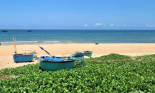 Thư giãn bằng những chuyến đi