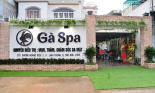 Phạt hơn 1 tỷ đồng hàng loạt spa, thẩm mỹ viện hoạt động 'chui'
