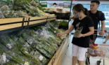 Vụ “rau sạch dỏm” vào siêu thị: Cần khởi tố vụ án để điều tra