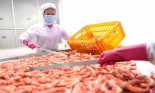 Doanh nghiệp thực phẩm: Kết nối nâng giá trị hàng Việt