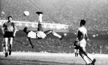 Thương hiệu Pele