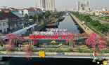 Chợ hoa Xuân trên bến dưới thuyền