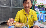 Cú hích từ Ngày hội cua Cà Mau