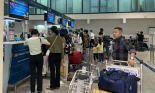 Vé máy bay Tết: Mở bán sớm, số lượng dồi dào, giá vẫn 'trên trời'
